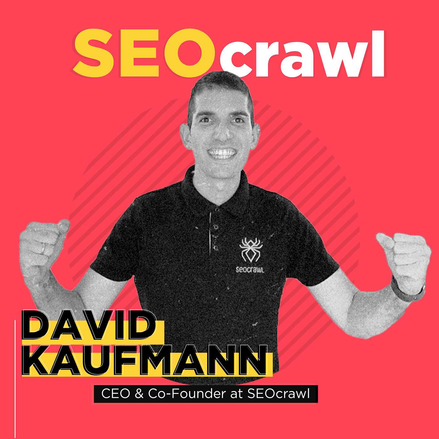 SEO Crawl con David Kaufmann SEO Crawl con David Kaufmann