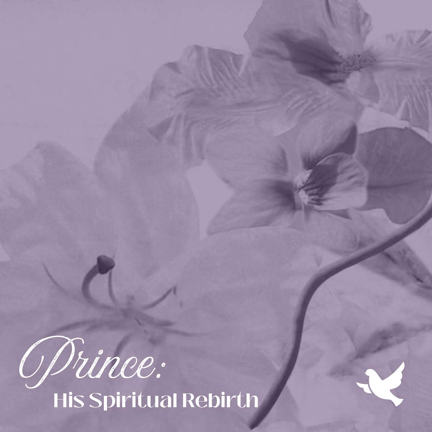 Prince: His Spiritual Rebirth episode artwork