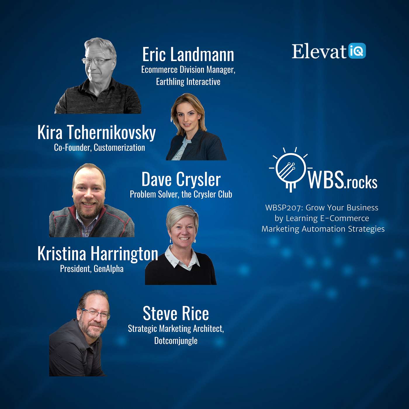 WBSP207: Grow Your Business by Learning E-Commerce Marketing Automation Strategies, a Live Interview w/ a Panel of Experts