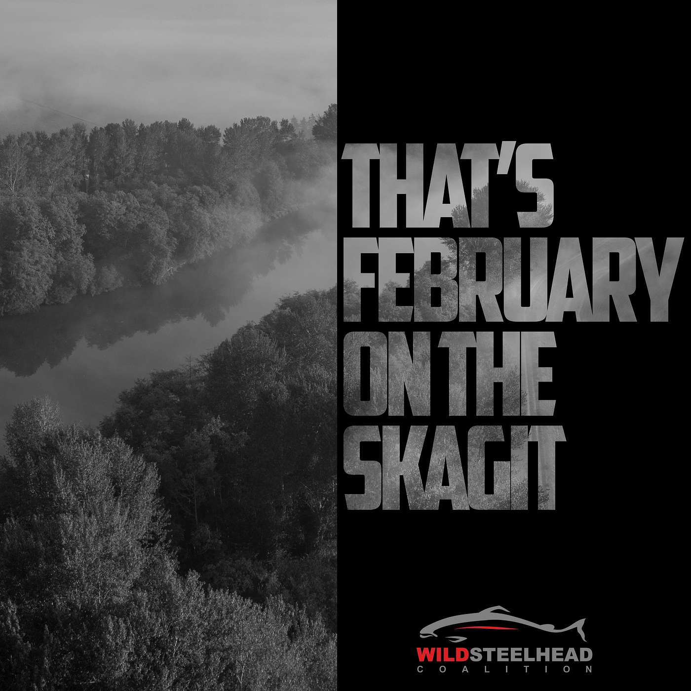 Skagit Winter episode artwork