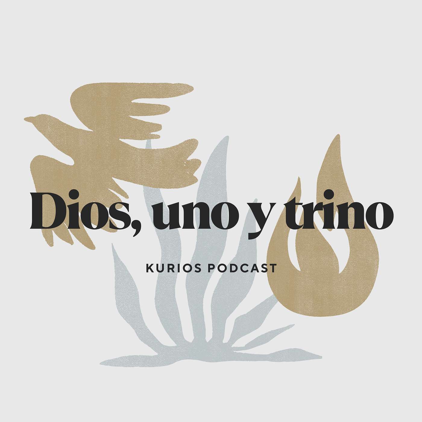 Ministerios Kurios