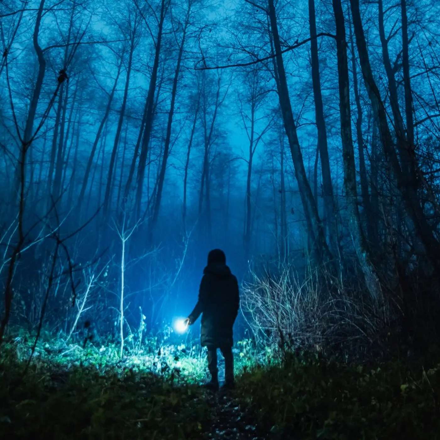 Hiking, Camping and Missing 411 | Summer Supernatural Safety Part 2