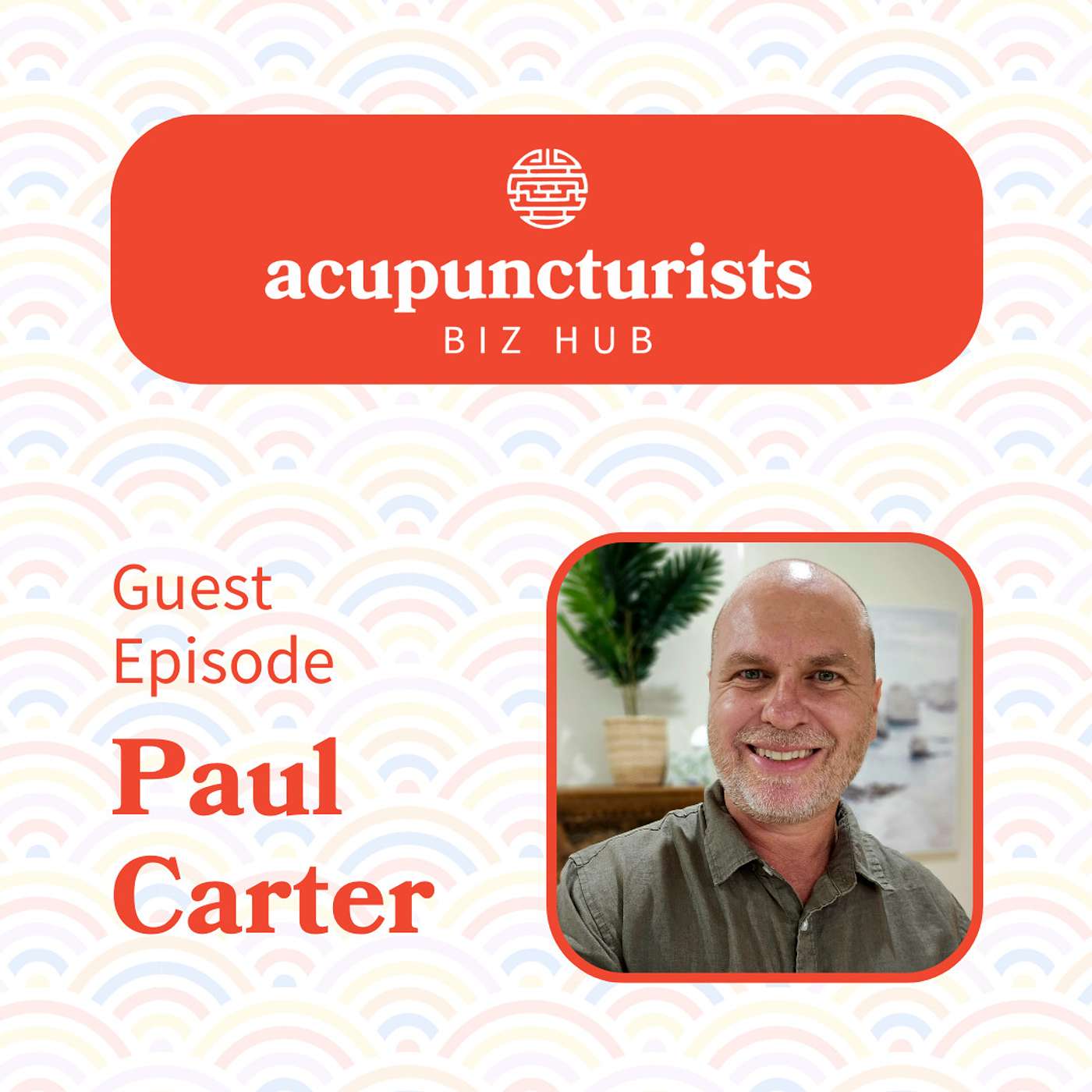 The Acupuncturists Biz Hub