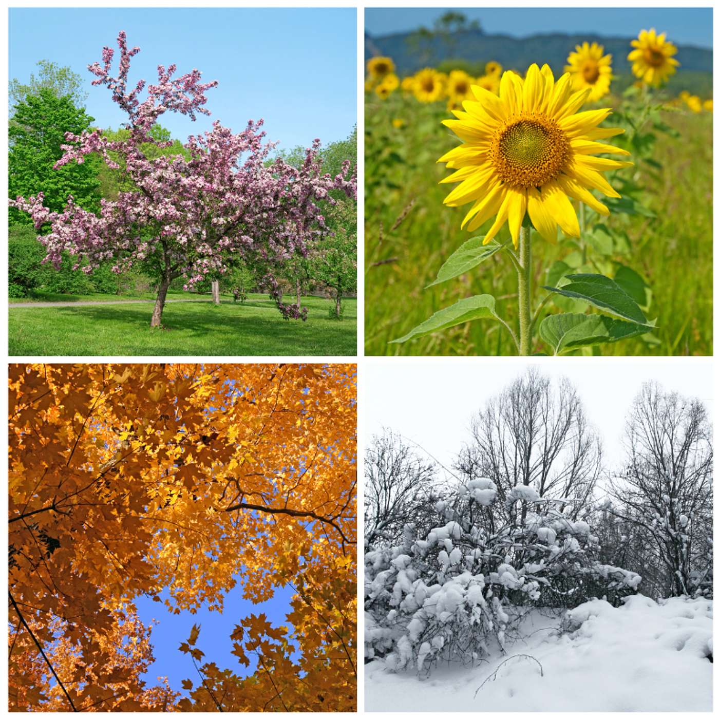 Hearing God in Various Seasons of Life
