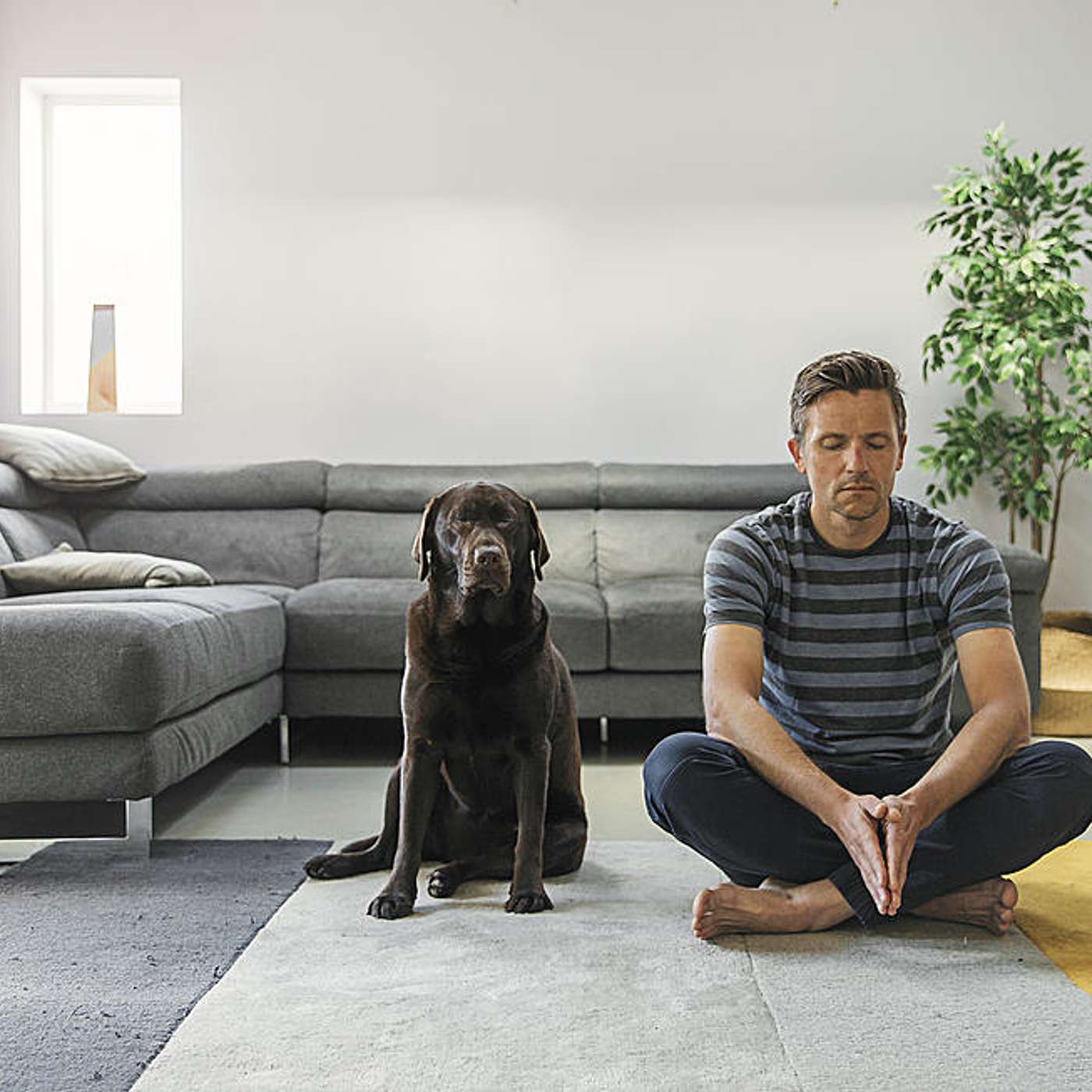 How to Use Breathing Exercises to Help You Lose Weight and Stay Calm
