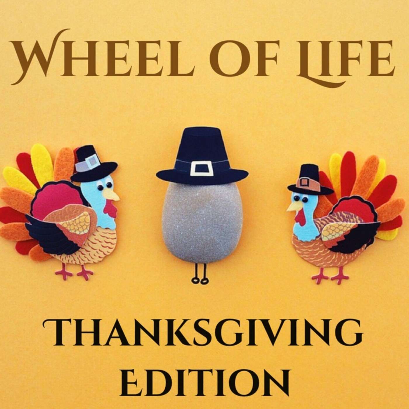 Wheel of Life: November 2019 Edition - Learning What I Need to Learn