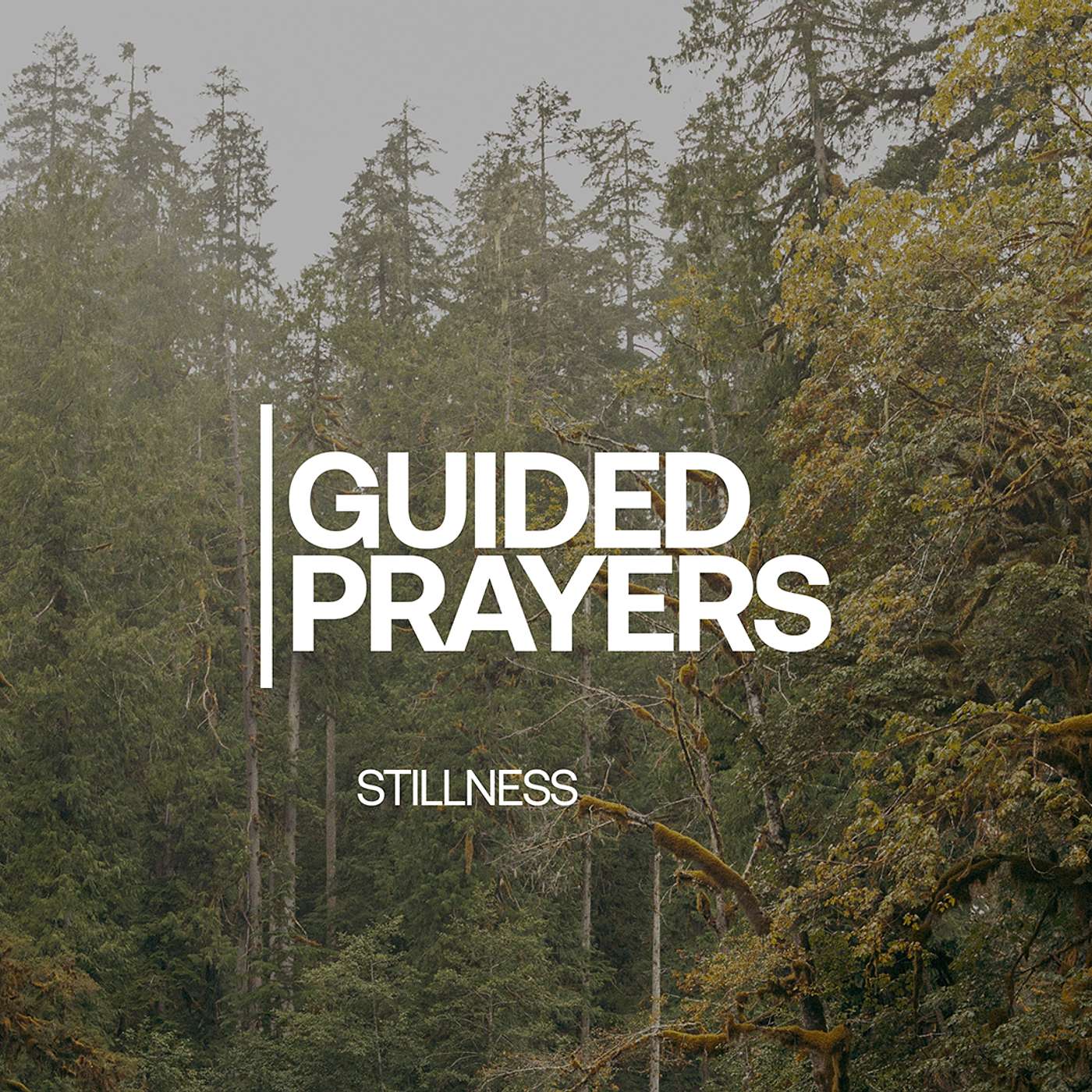 Finding Strength In Waiting | Guided Prayers episode artwork