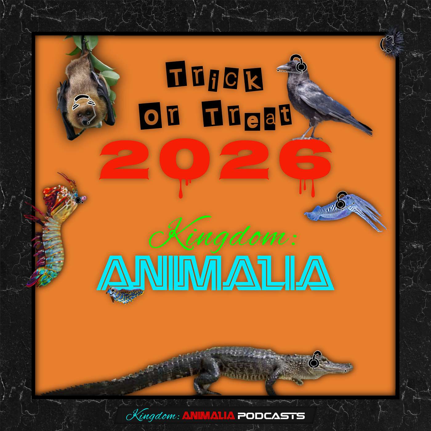 REMINDER: Send in Your Guesses for the Trick or Treat 2026 Fake!