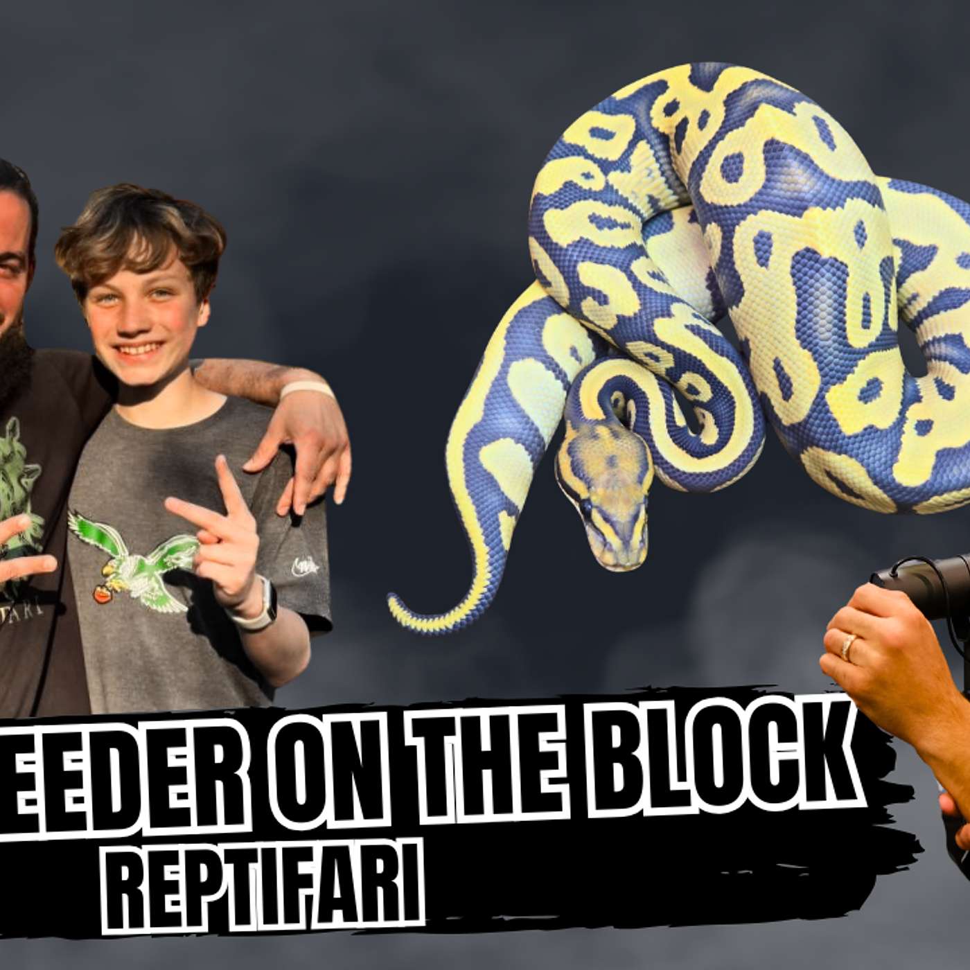 Why True Ghost Is A MUST Ball Python Project To Have | New Breeder On The Block Live