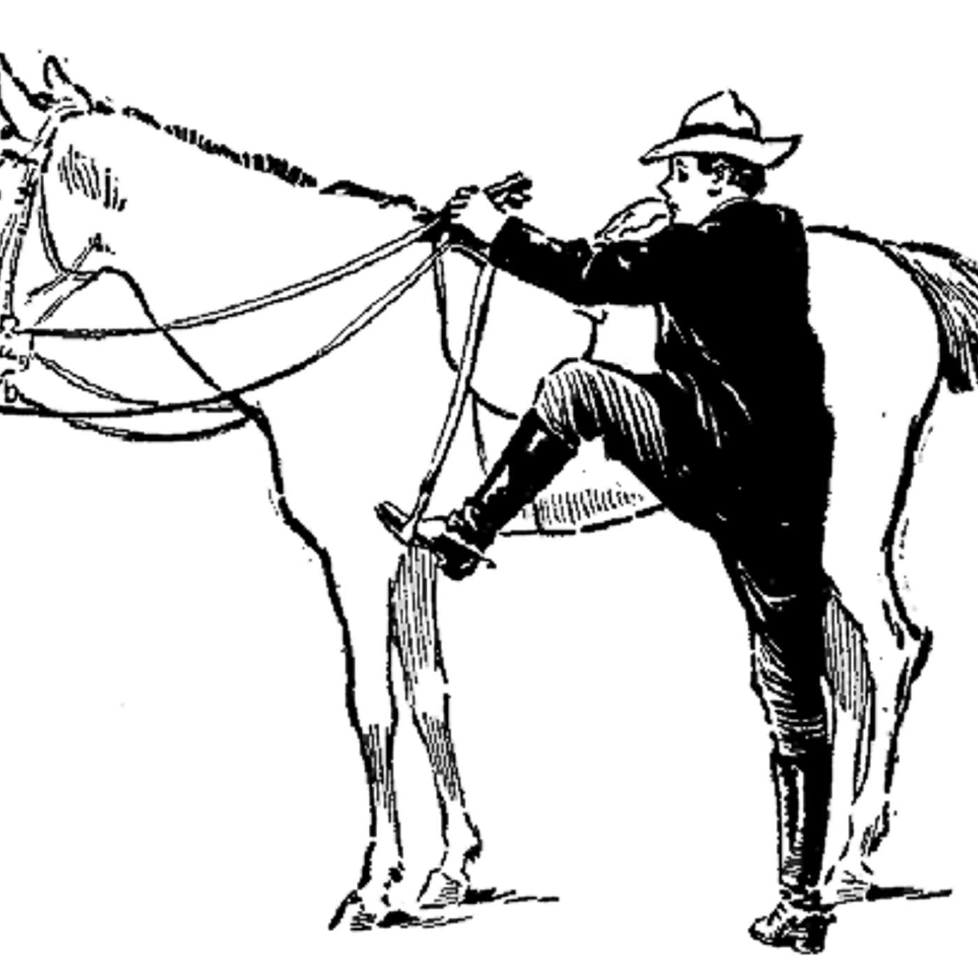Episode 1710 - Getting back on the horse...again