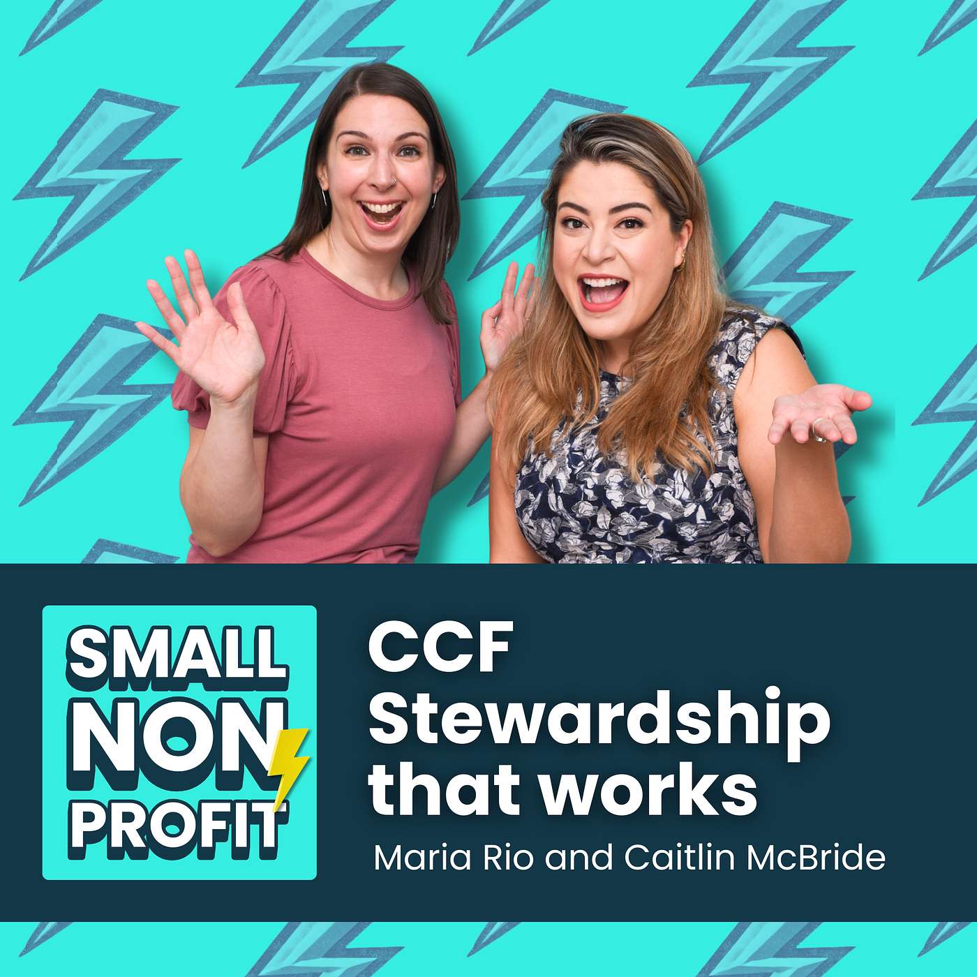 Donor Stewardship: Community-Centric Segmentation and Practices