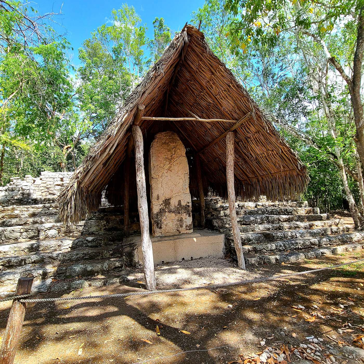 cover of episode The Maya Civilization