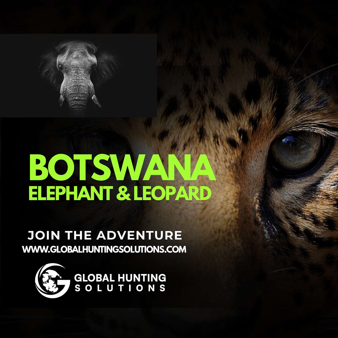 Global Hunting Solutions