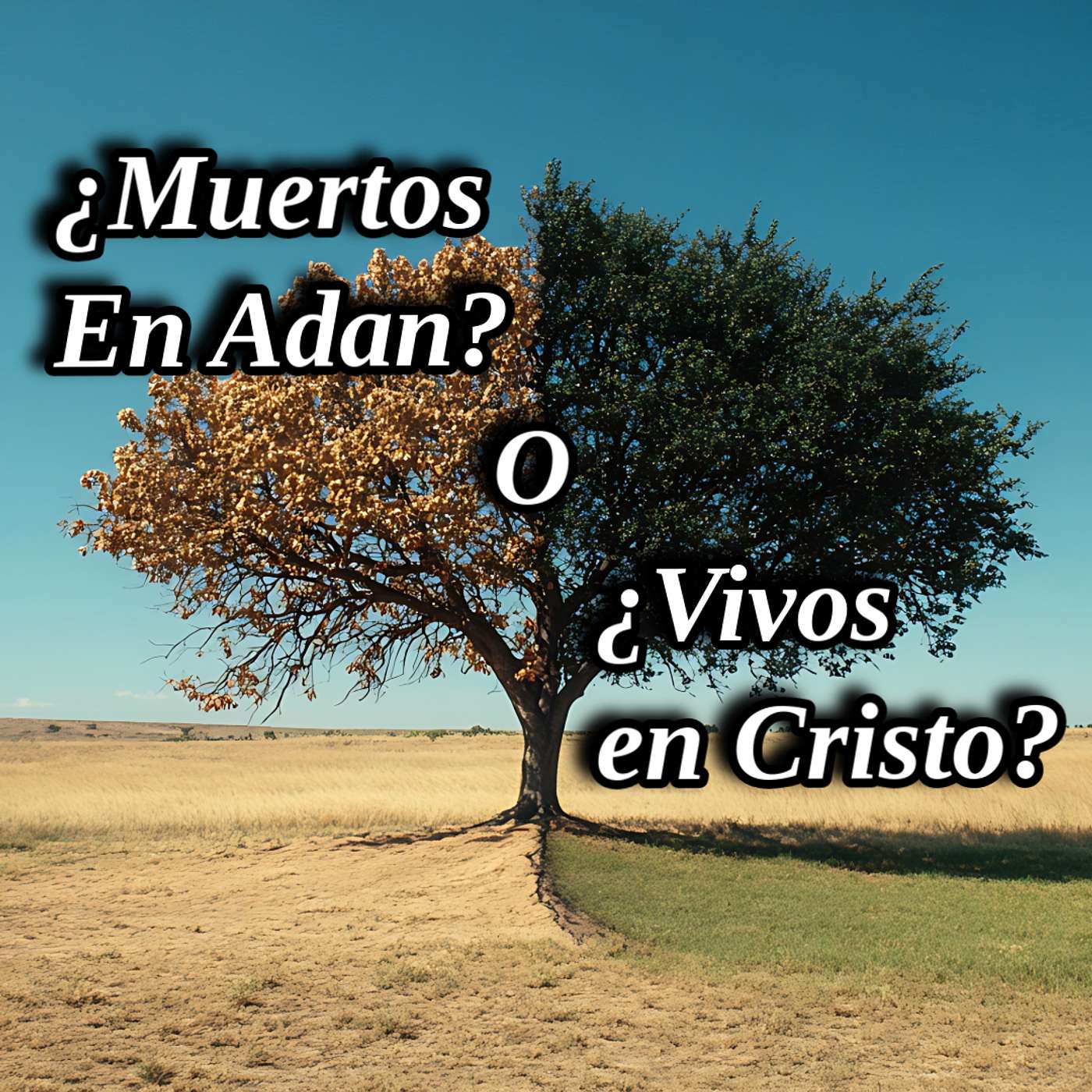 ¿Muertos En Adan? O ¿Vivos En Cristo?