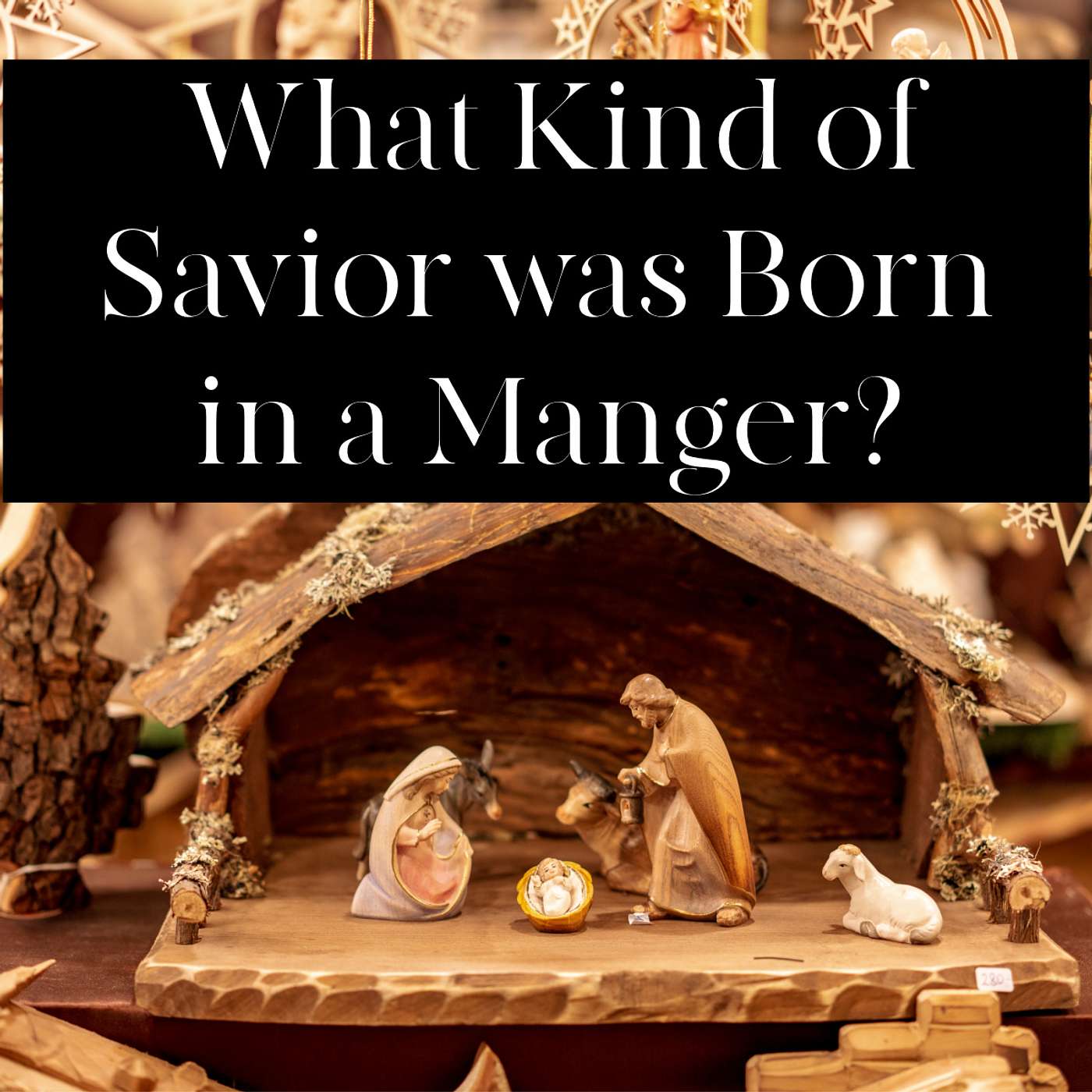 What kind of Savior was Born in a Manger? episode artwork