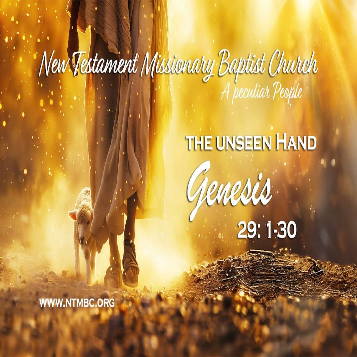 A Peculiar People: The Unseen Hand, Genesis 29:1-30 (Audio)