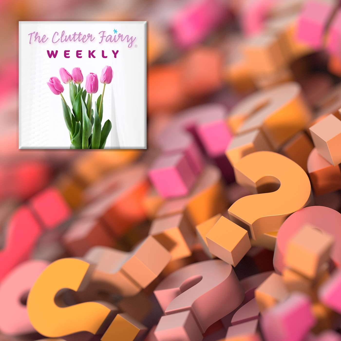 The Clutter Fairy Weekly #8 - Your questions: Reducing collections | Other people’s opinions