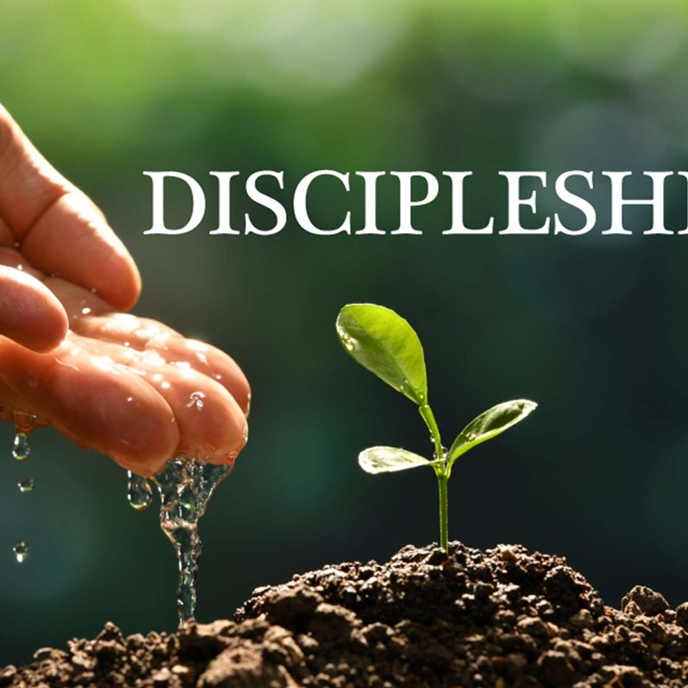 Discipleship - Obedience