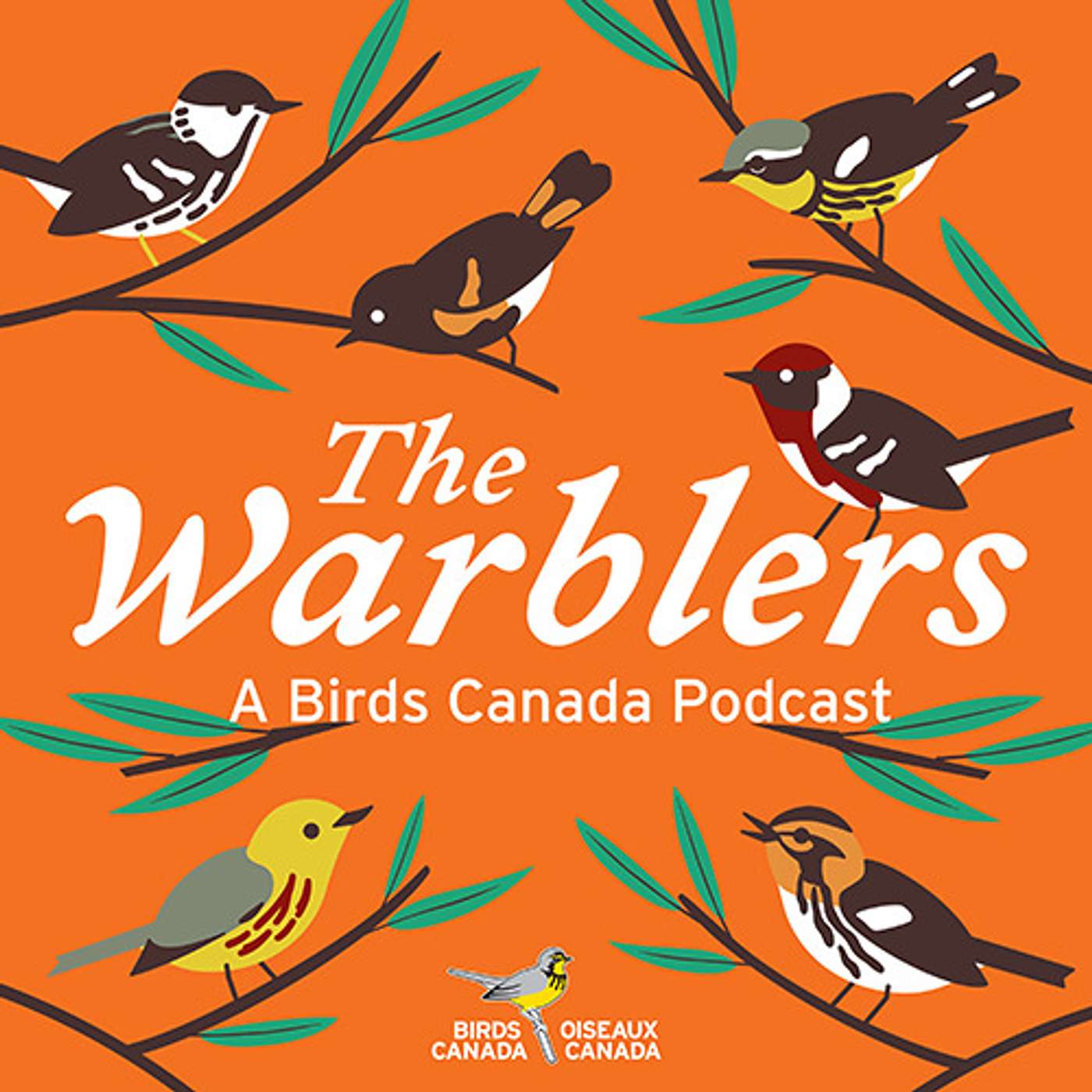 The Warblers by Birds Canada