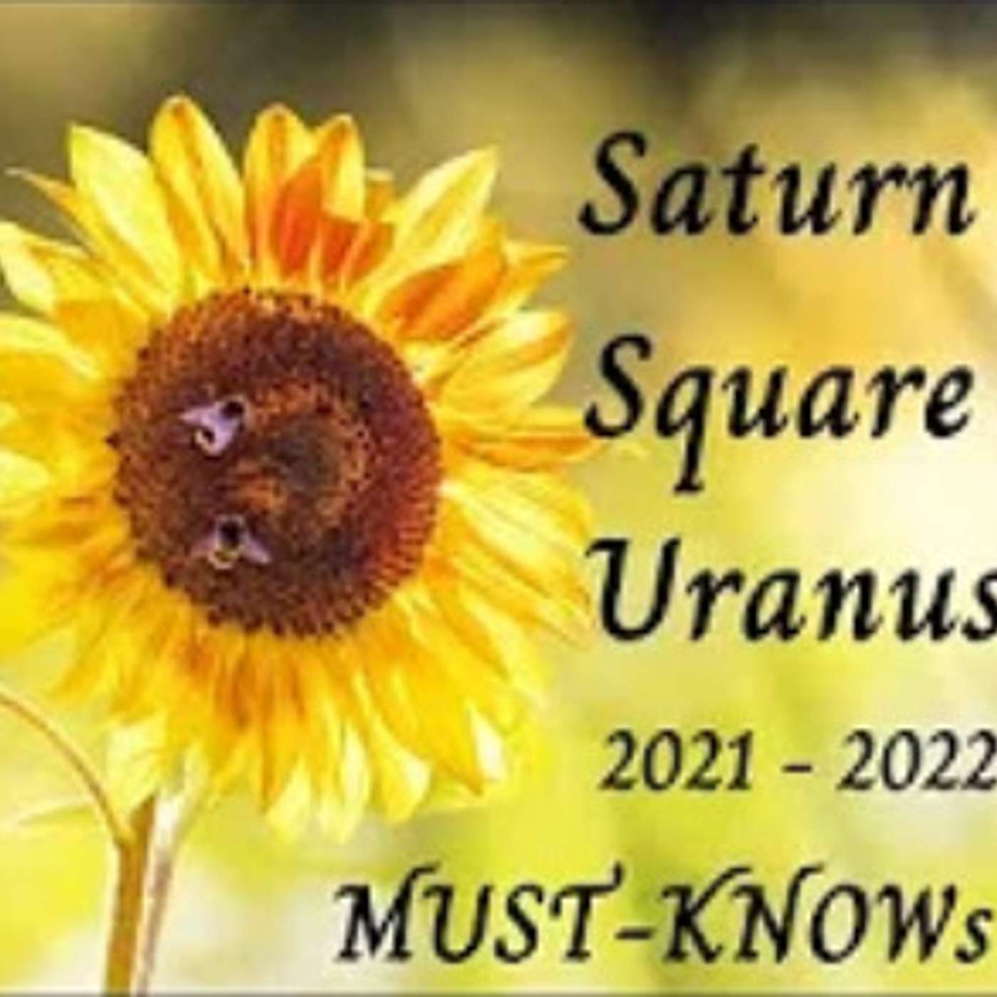 Saturn Square Uranus ~ 2021~2022 (MUST-KNOWs)