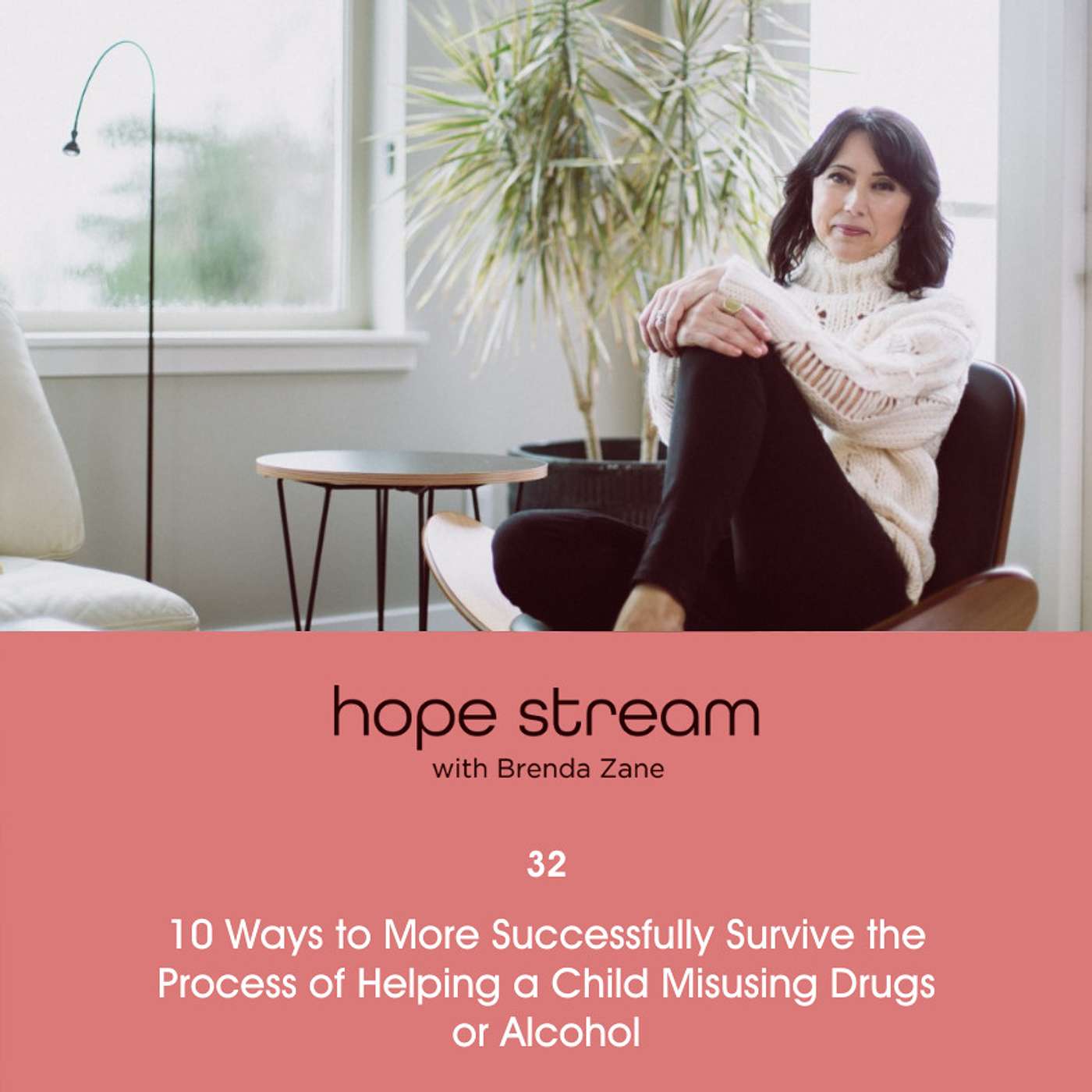 10 Steps To Successfully Help You and Your Child Misusing Drugs or Alcohol, with Brenda Zane