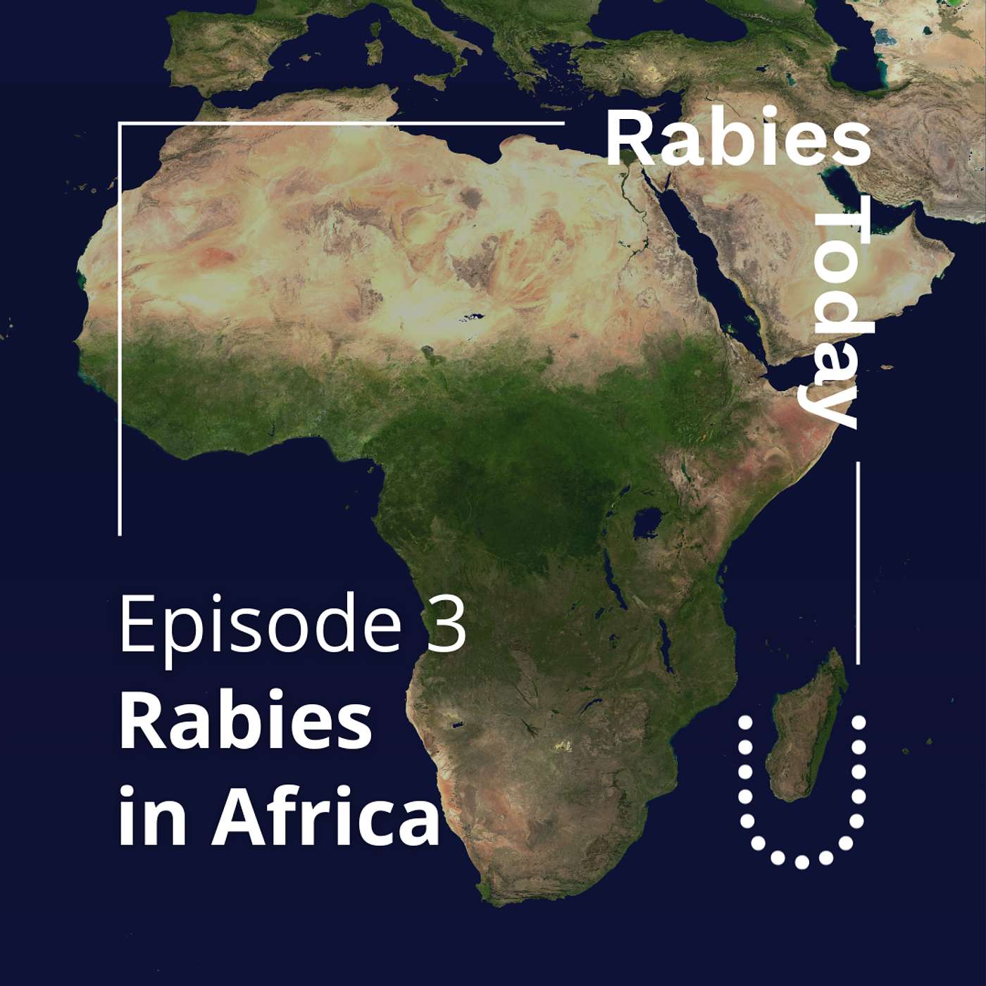 Rabies in Africa