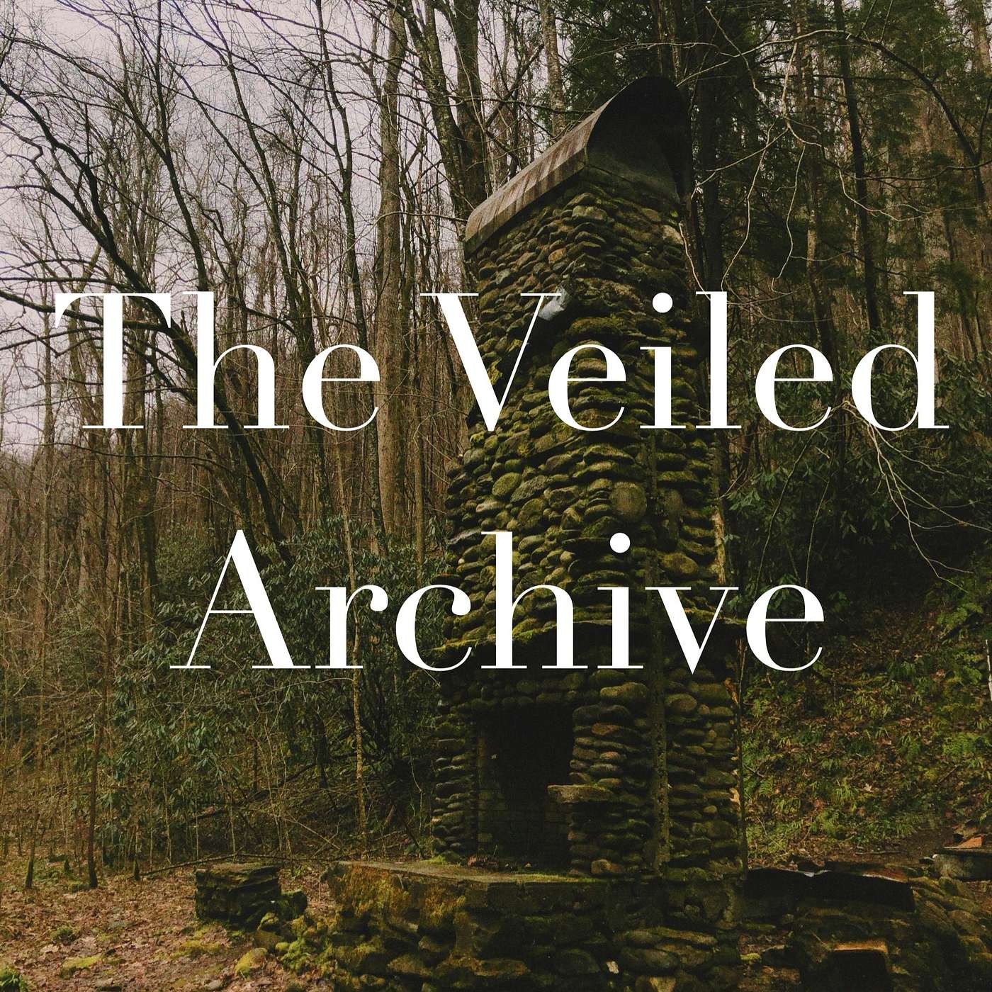 The Veiled Archive cover art