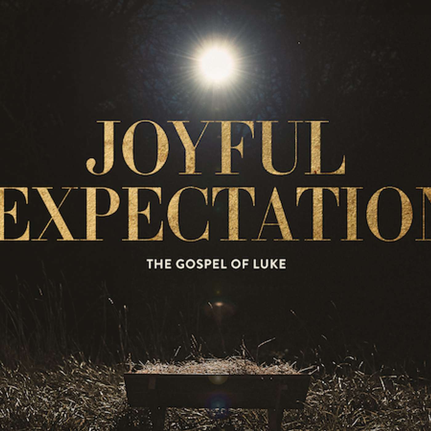 The Coming Messiah - FOREVER King | Luke 1.26-38 | December 8, 2024 | Aaron T. Colyer episode artwork