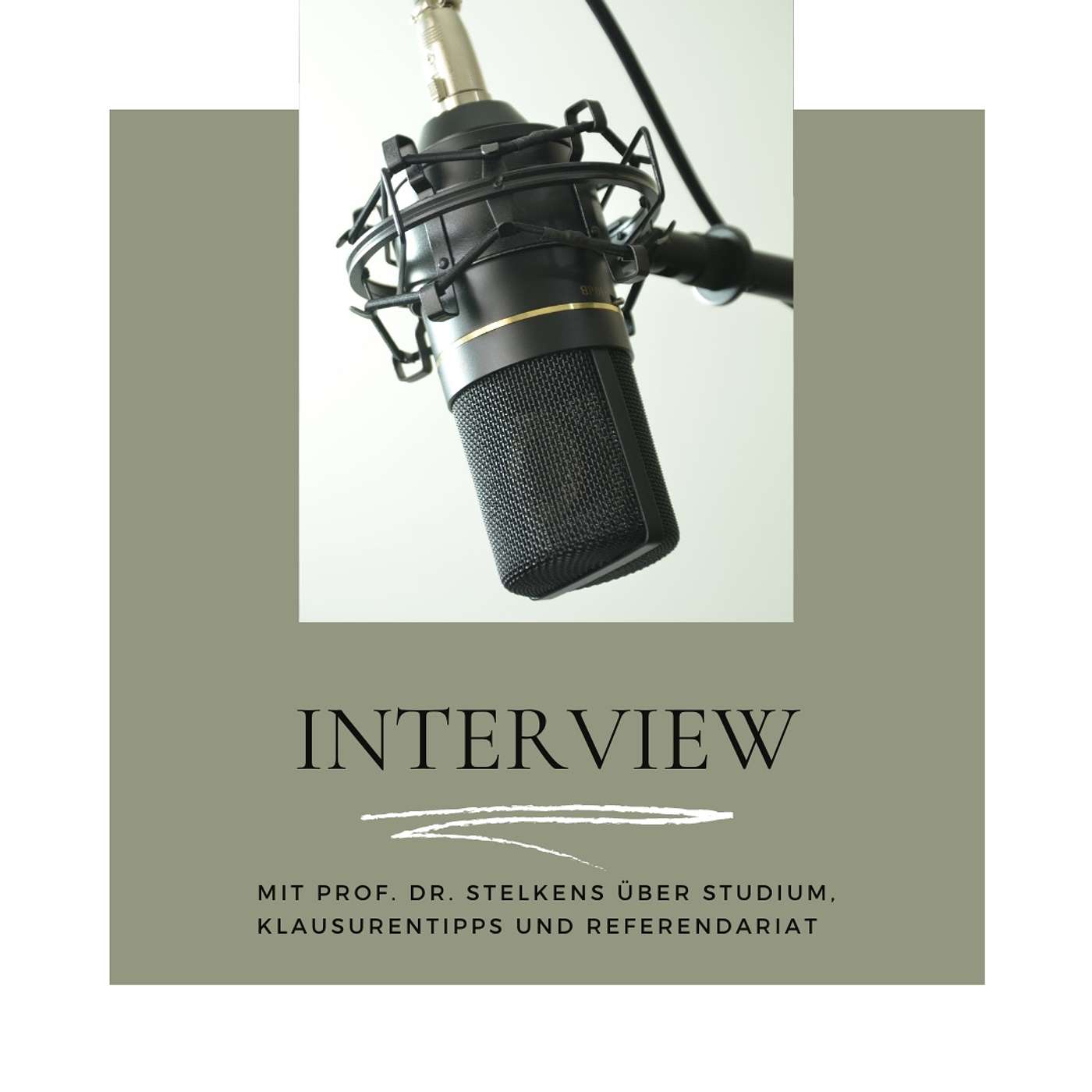 Interview mit Prof. Dr. Stelkens über Studium, Klausurentipps und Referendariat Teil 2