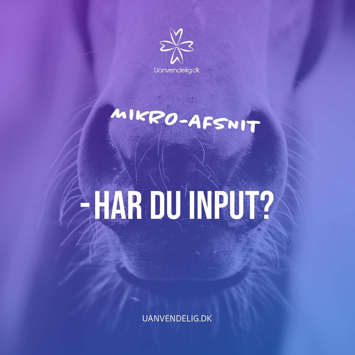 Uanvendelig eller Ridehest