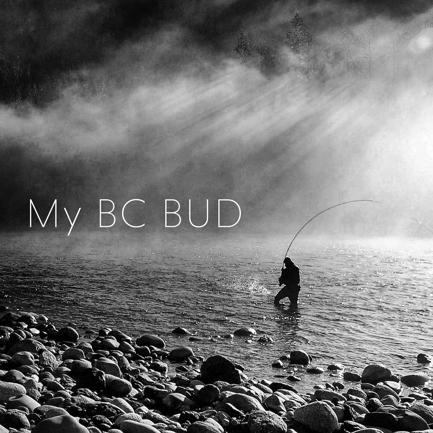 My BC Bud