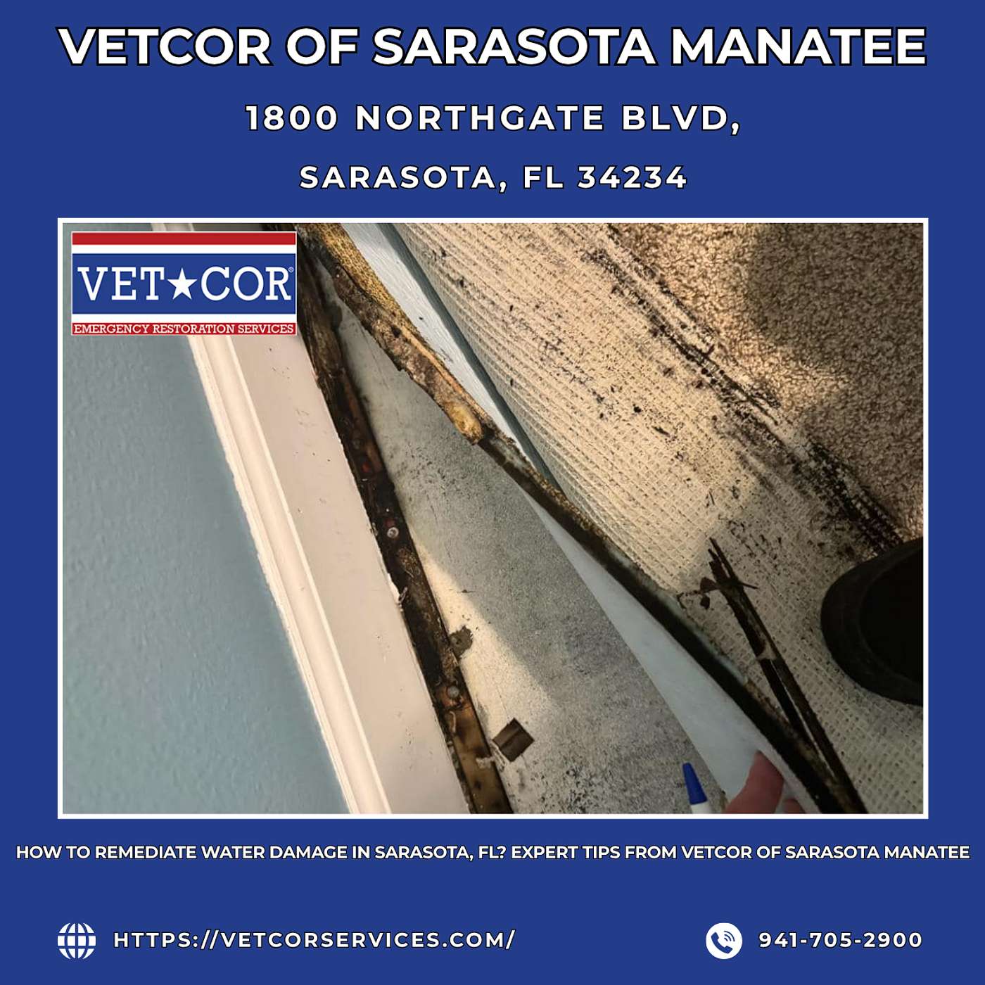 VetCor of Sarasota Manatee