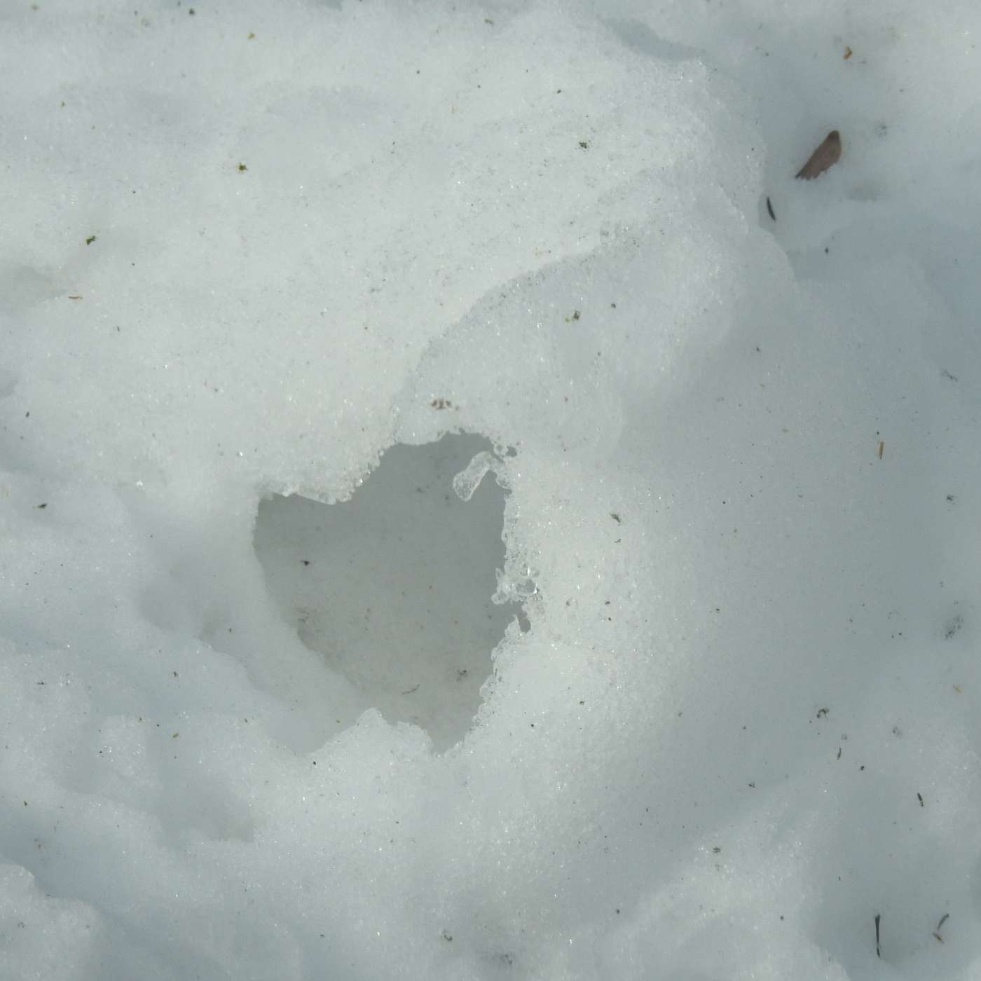 Message from the Mountain
