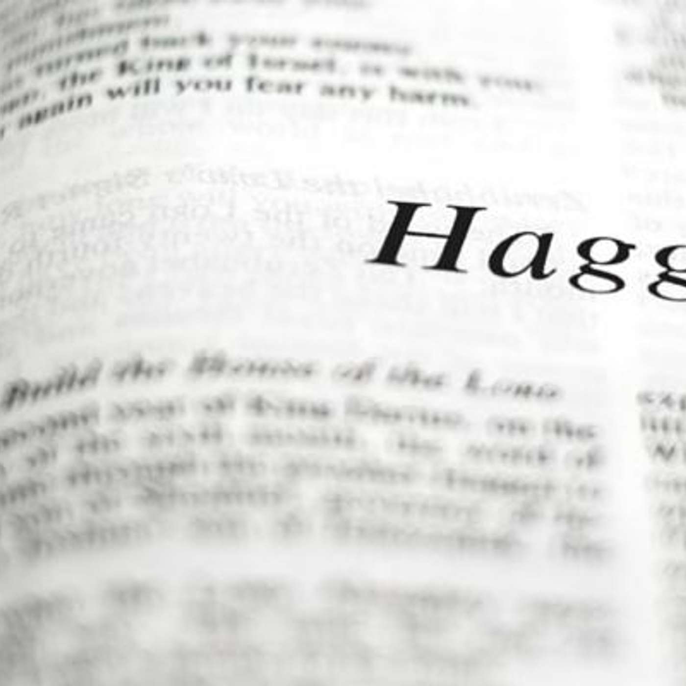 I will Fill this House with Glory - Haggai 1-2