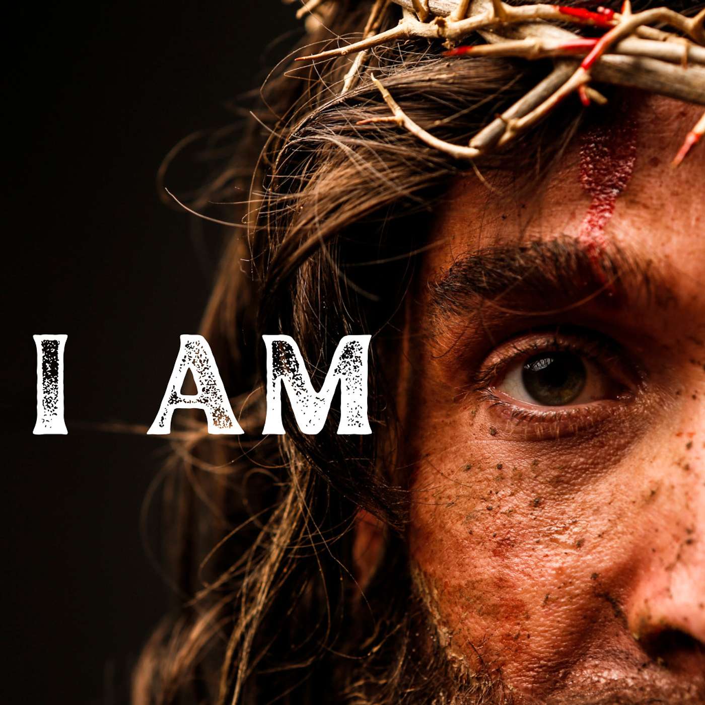 I AM: Part One episode artwork