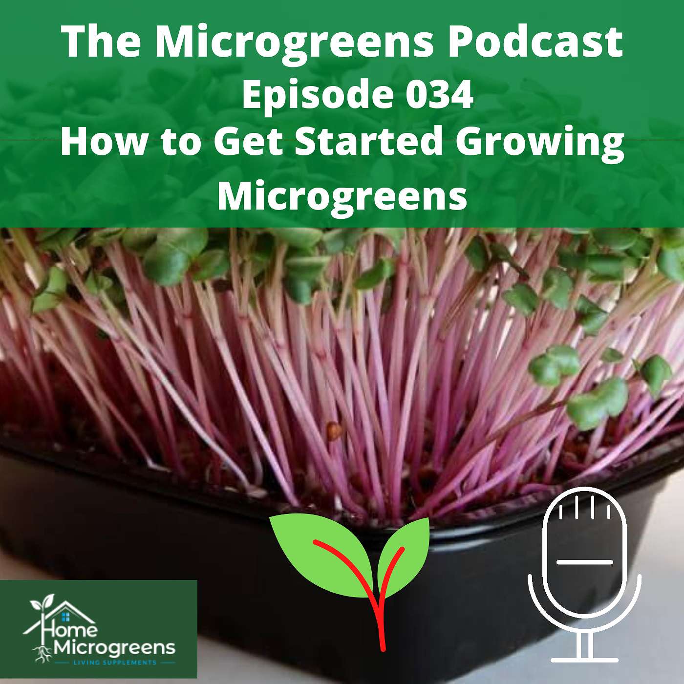 Getting Started With Microgreens Getting Started With Microgreens