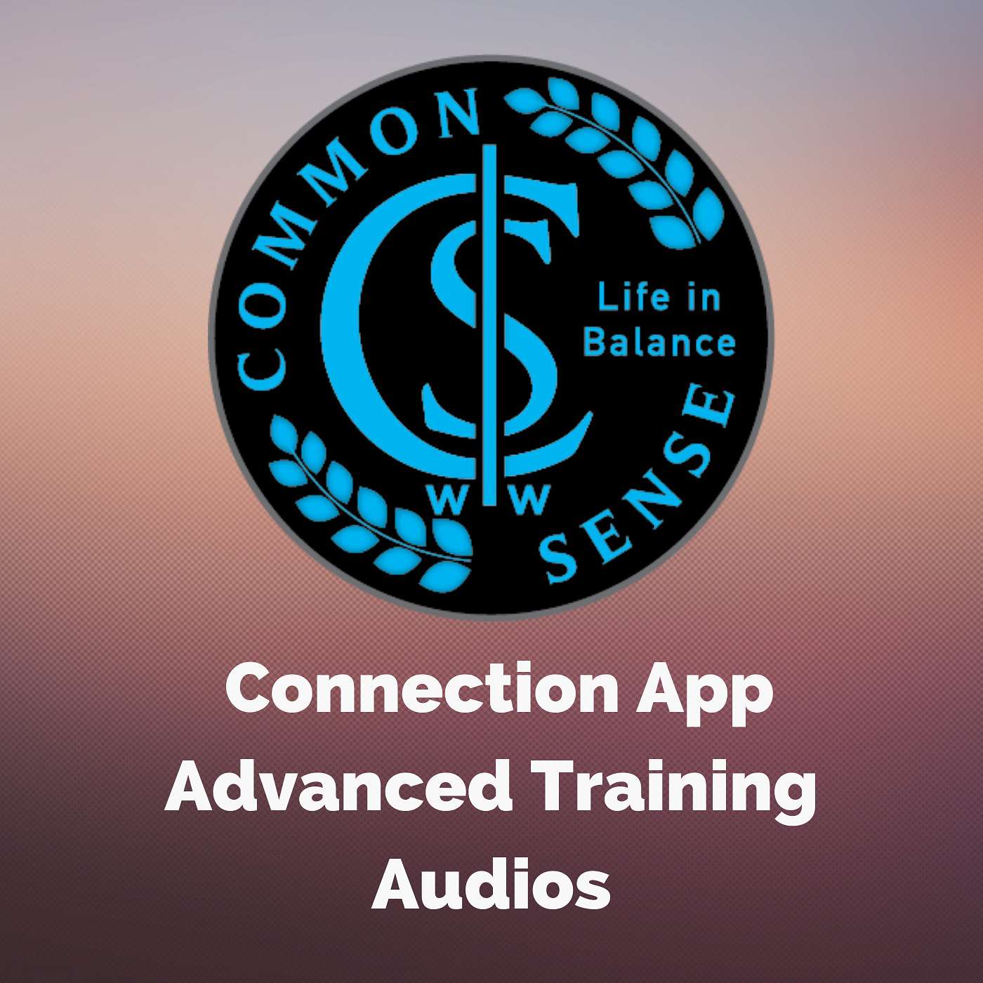 CS Advanced Training