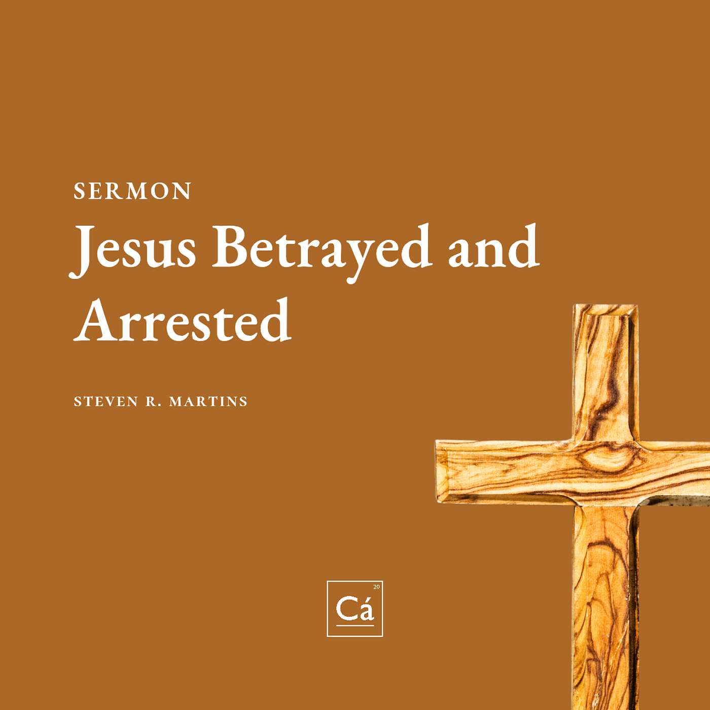Jesus Betrayed and Arrested | Rev. Steven R. Martins episode artwork
