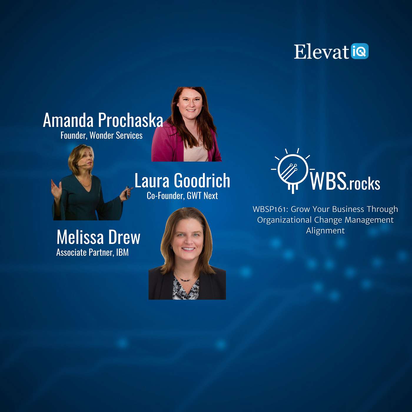 WBSP161: Grow Your Business Through Organizational Change Management Alignment, a Live Interview w/ a Panel of Experts
