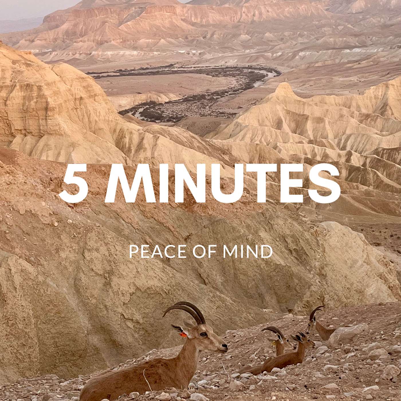 חמש דקות של שקט
