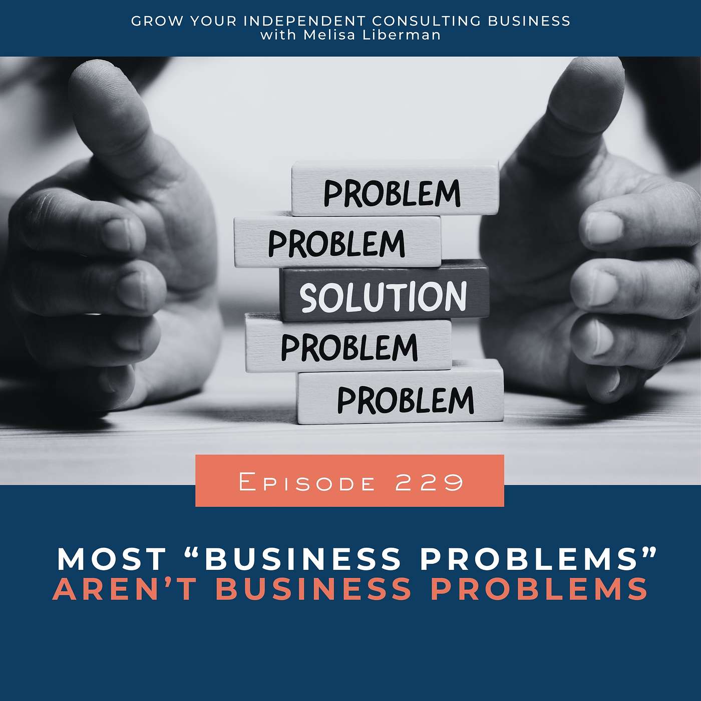 Grow Your Independent Consulting Business