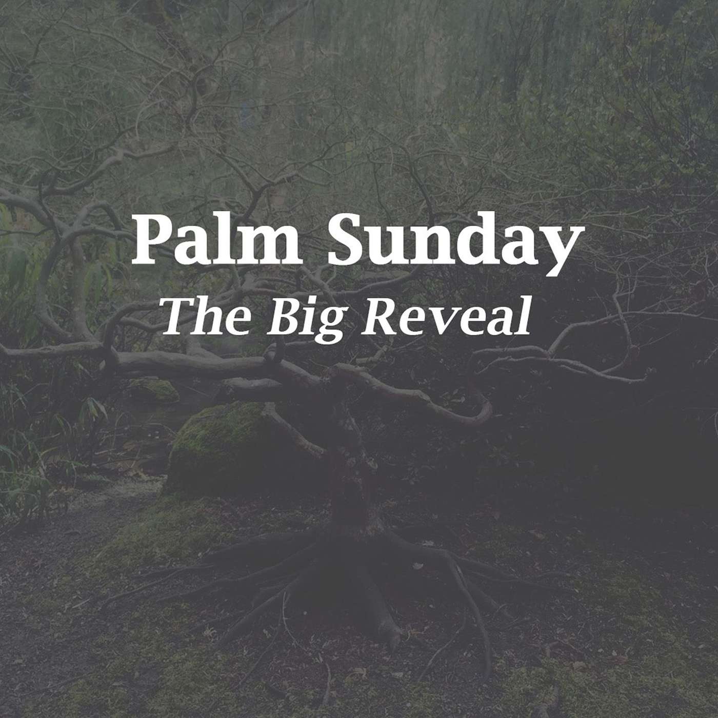 Palm Sunday - The Big Reveal