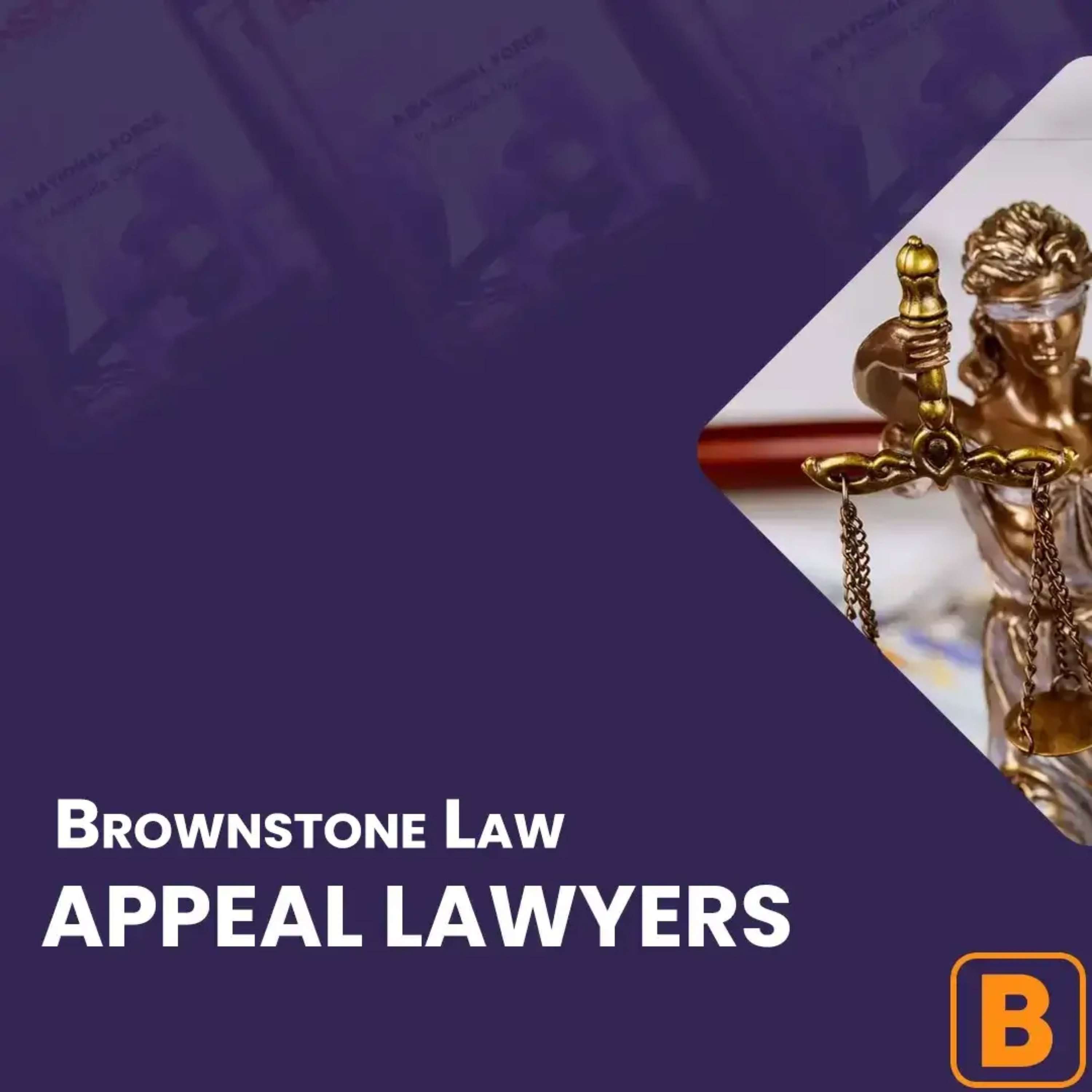 Review about Texas appellate lawyers