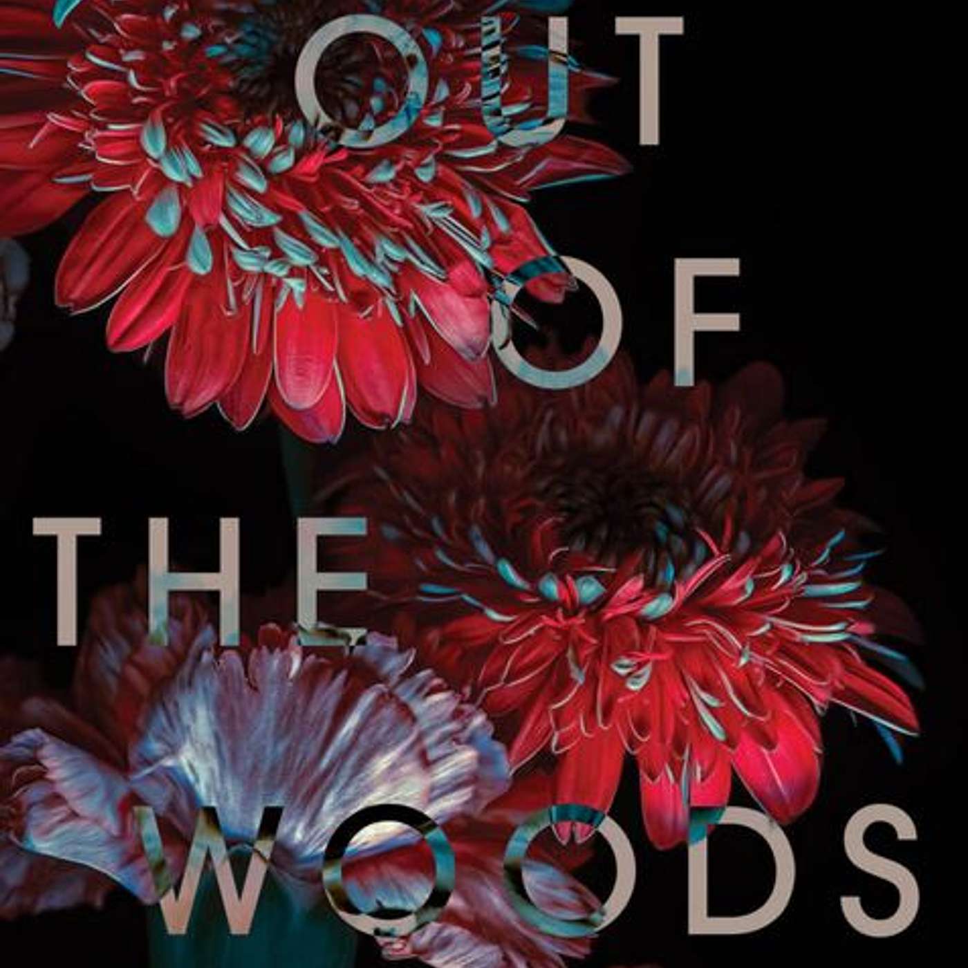 Out of the Woods, author Gretchen Shirm