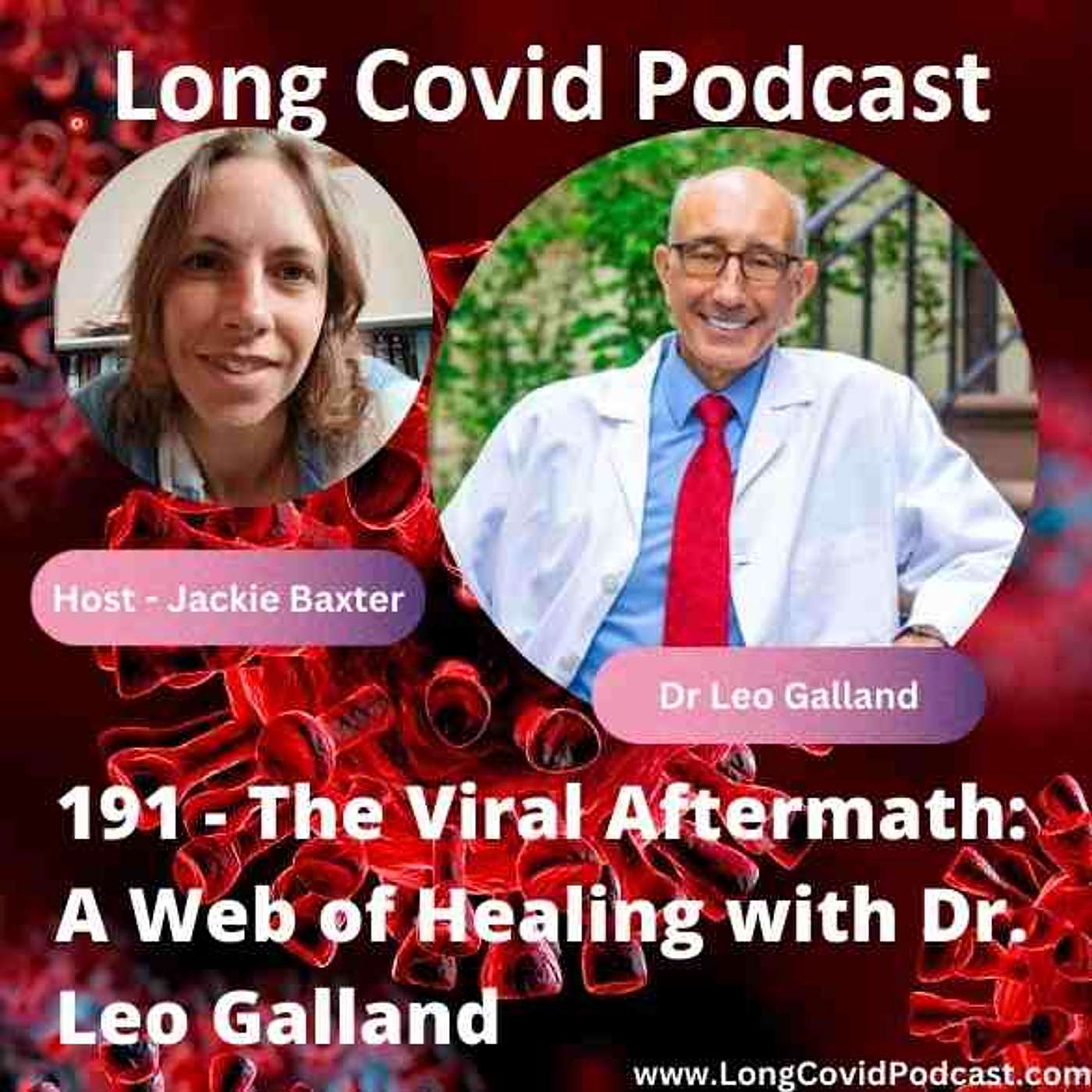 191 - The Viral Aftermath: A Web of Healing with Dr. Galland
