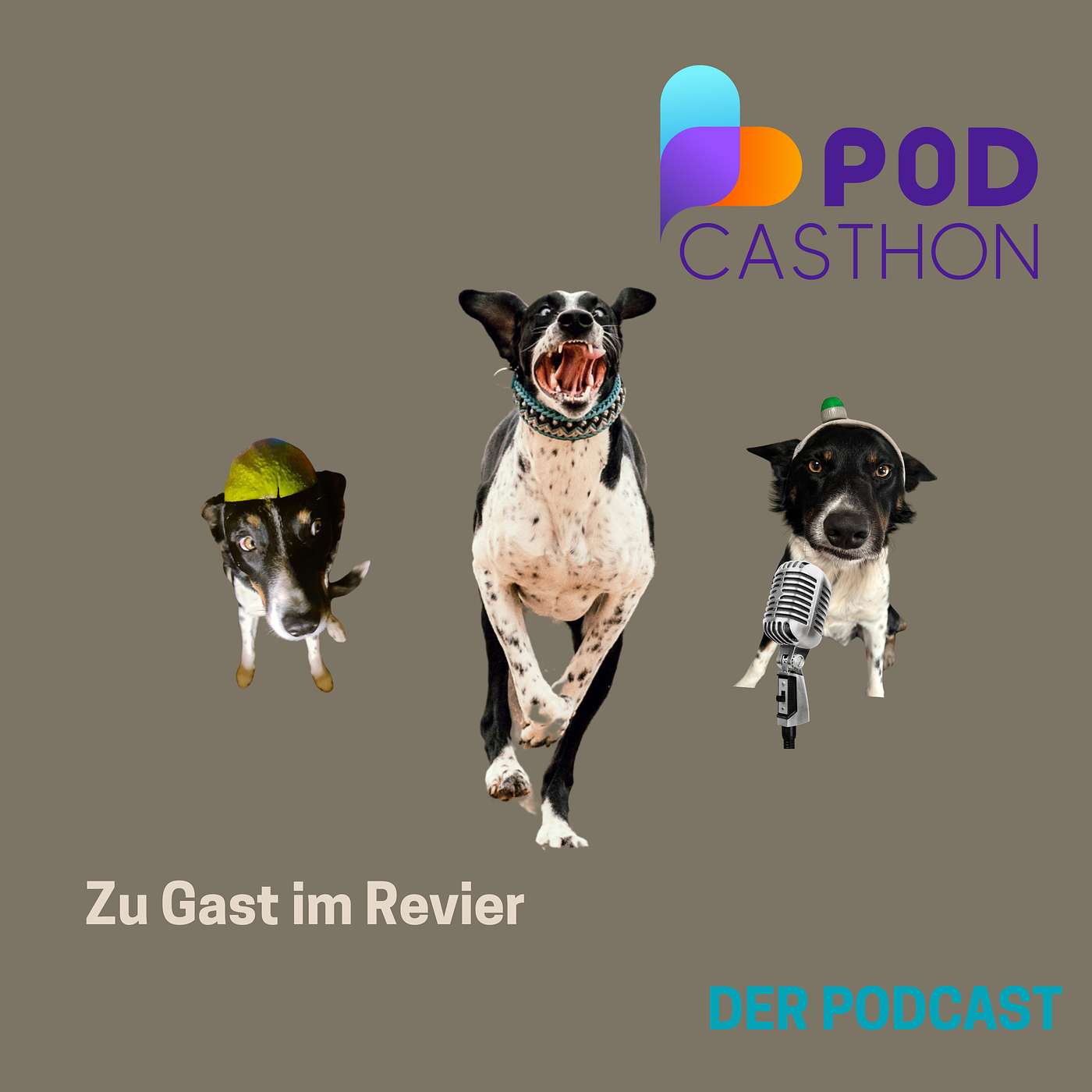 Zu Gast im Revier - Die Podcasthonfolge: Lea-Valine Opiela über das Leid der spanischen Jagdhunde episode artwork