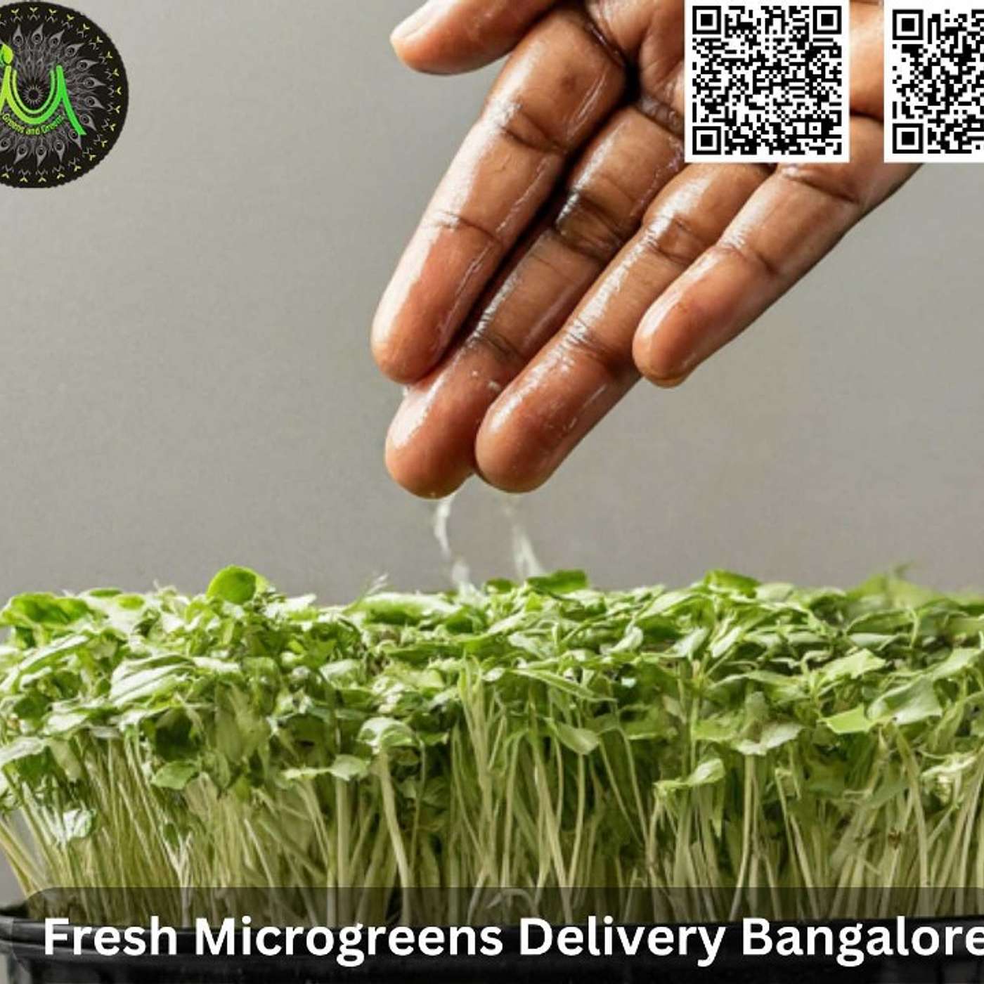 Fresh Microgreens Delivery Bangalore: Farm-to-Table Freshness at Your Doorstep