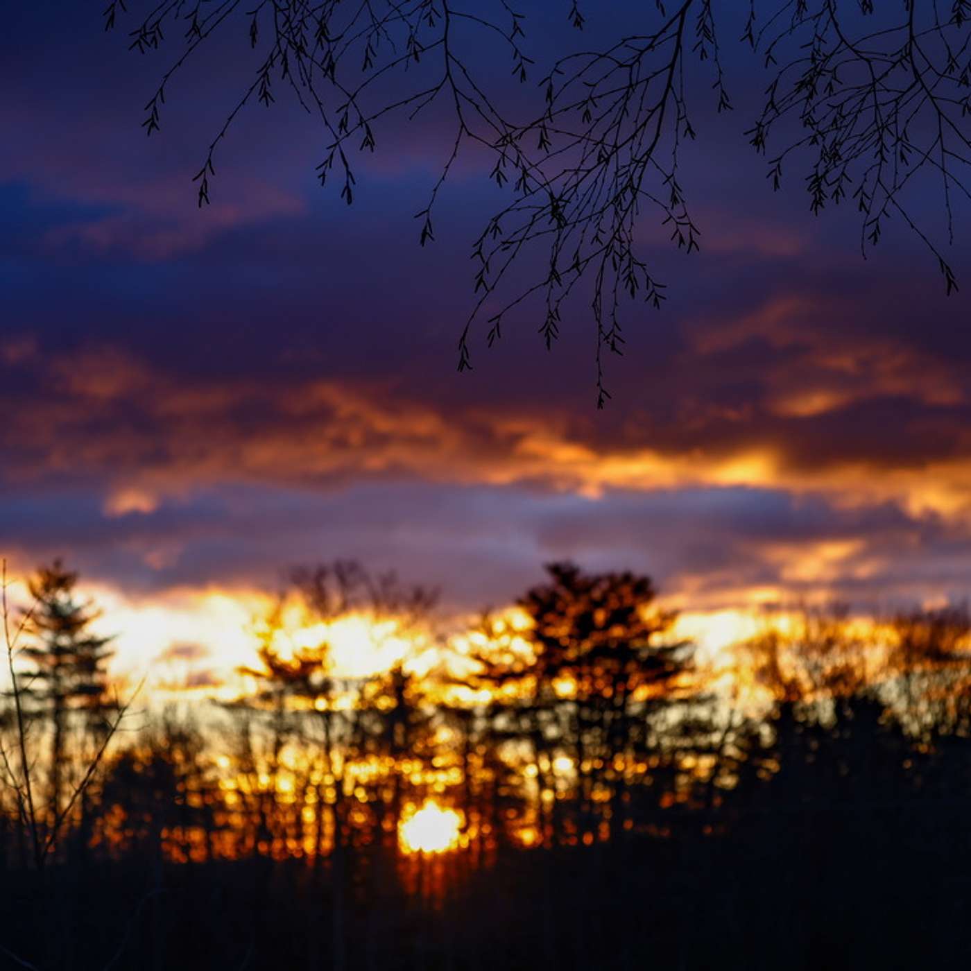 Summer Solstice
