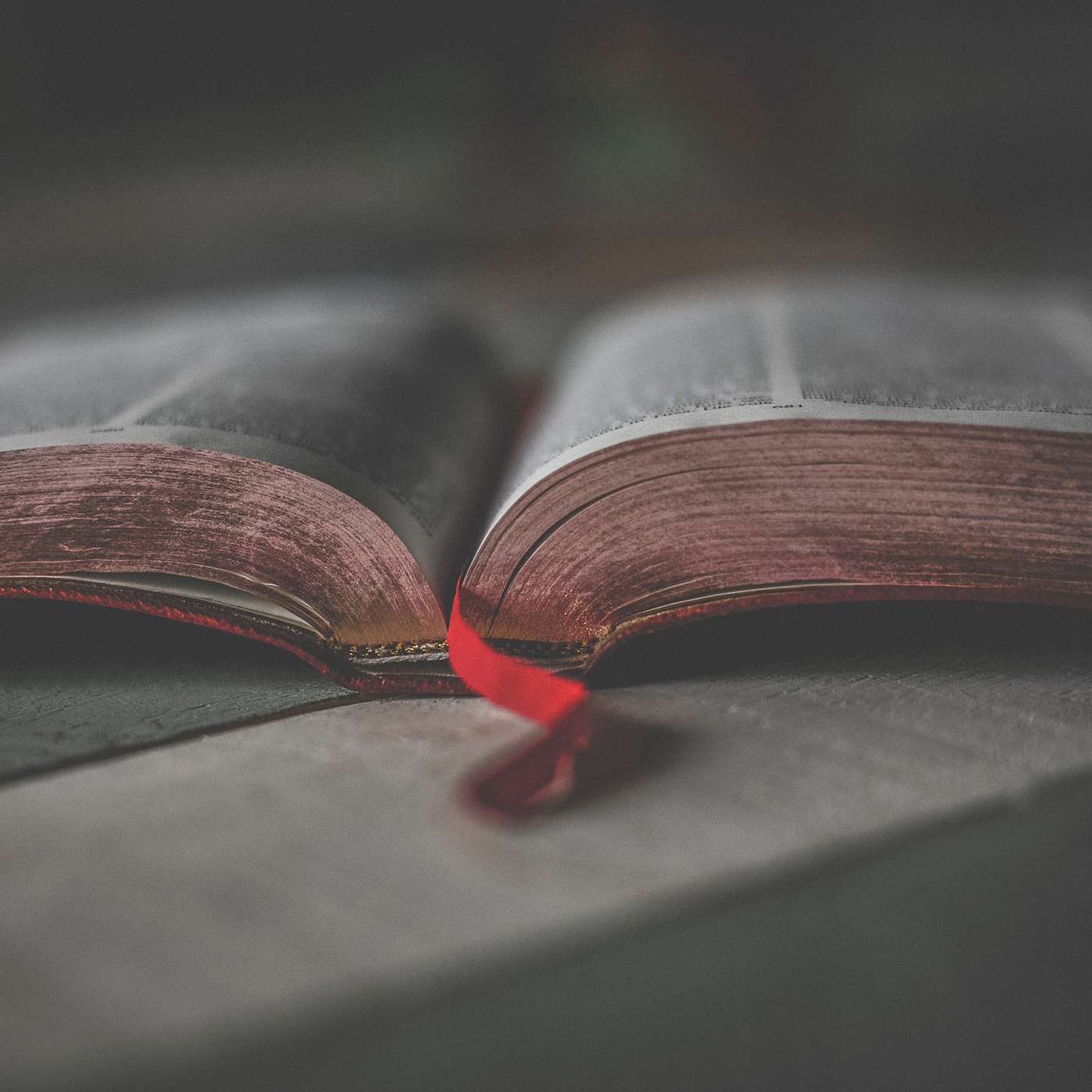 'Why and How to Read the Bible' | Back to the Basics | Part 2 episode artwork