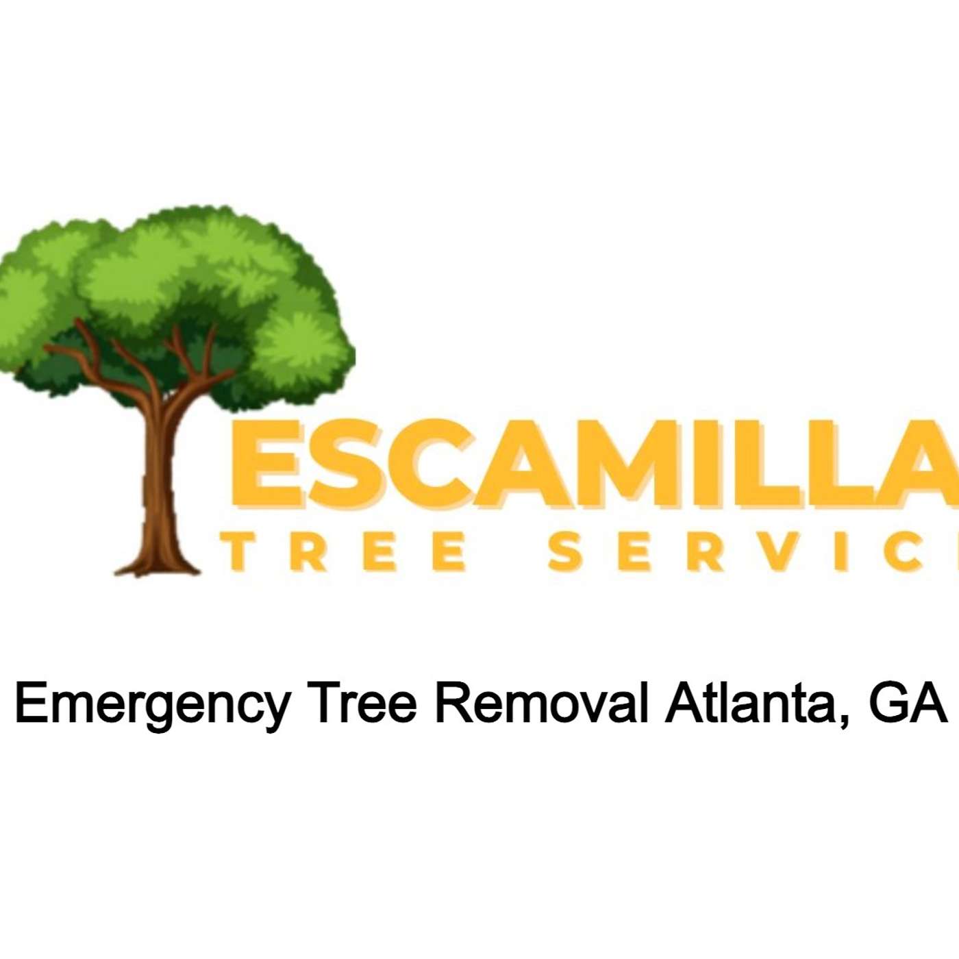 Emergency Tree Removal Atlanta, GA